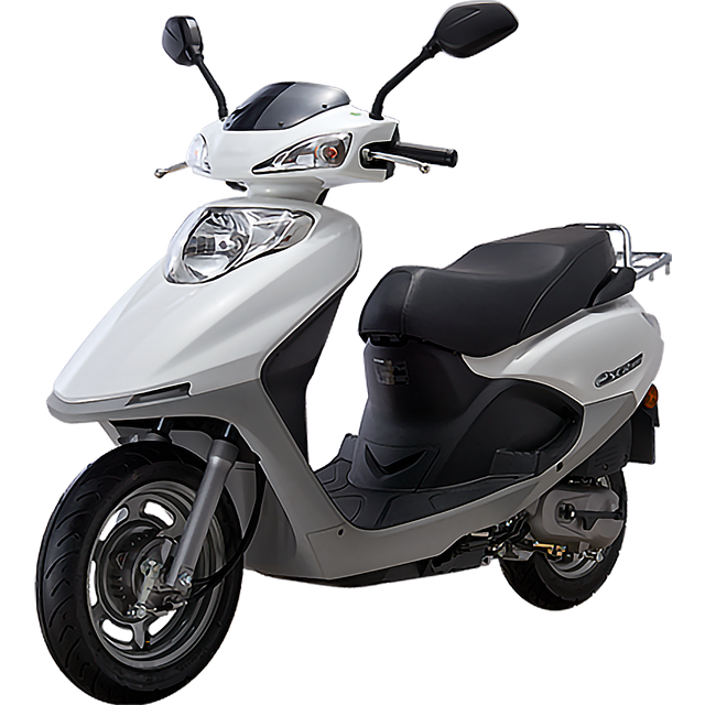 GGZ(100cc)