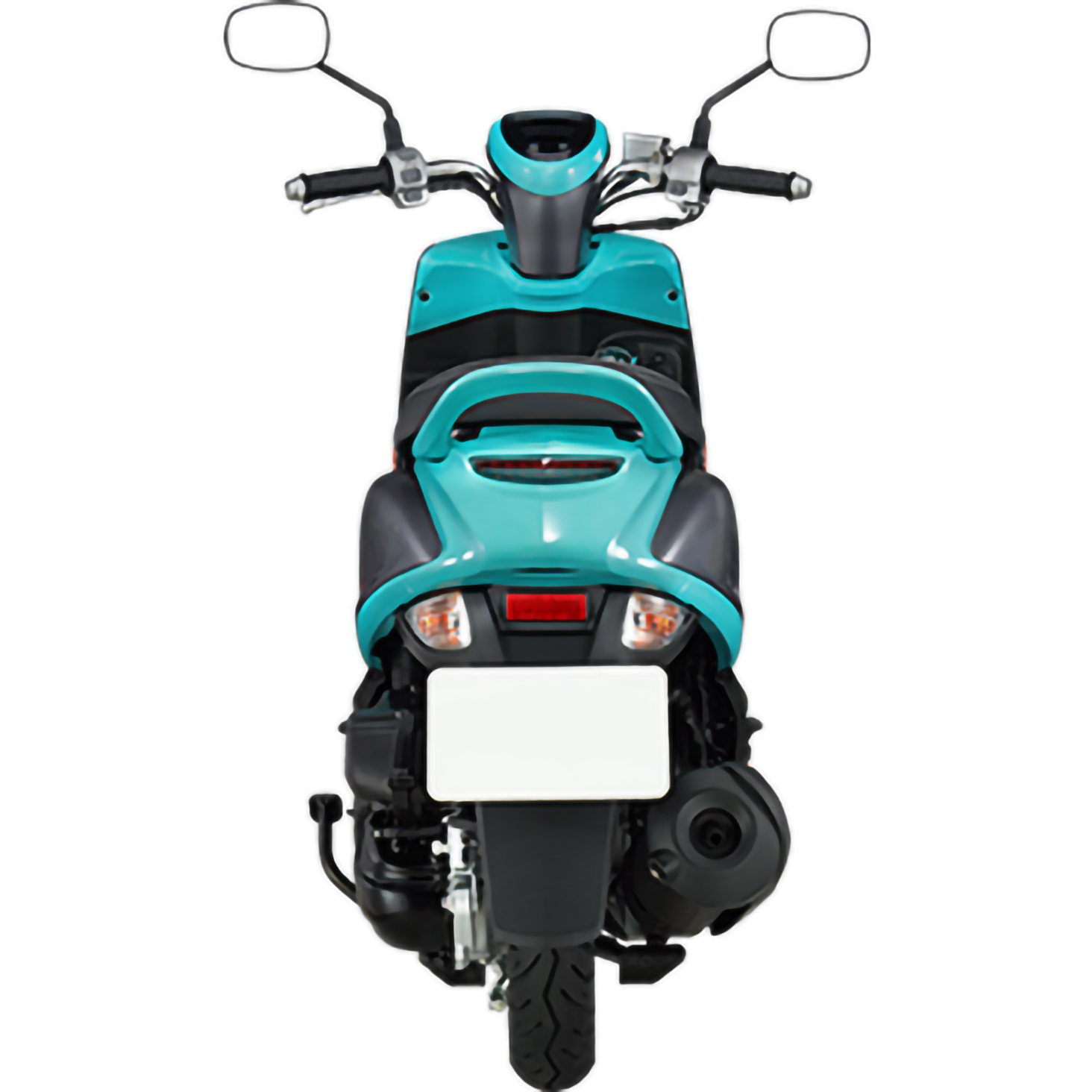 GS5(100cc)