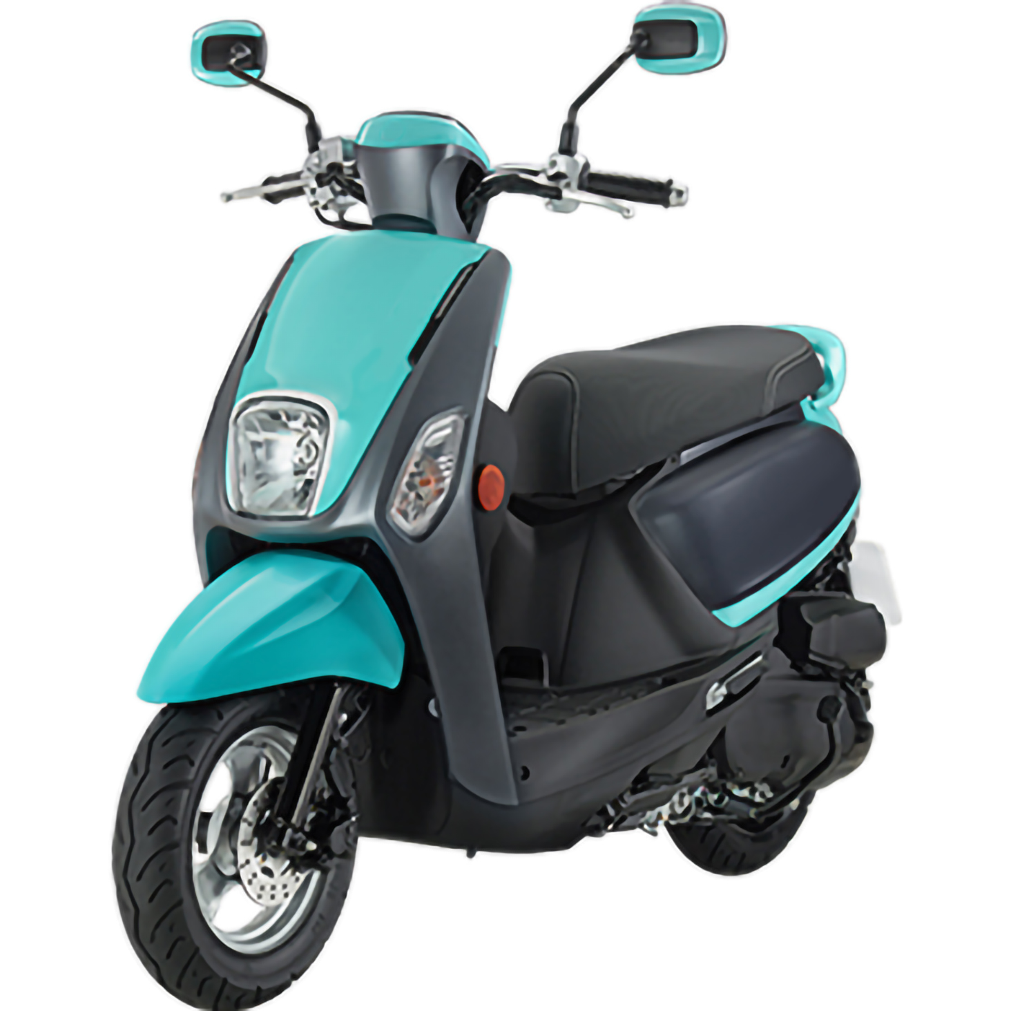 GS5(100cc)