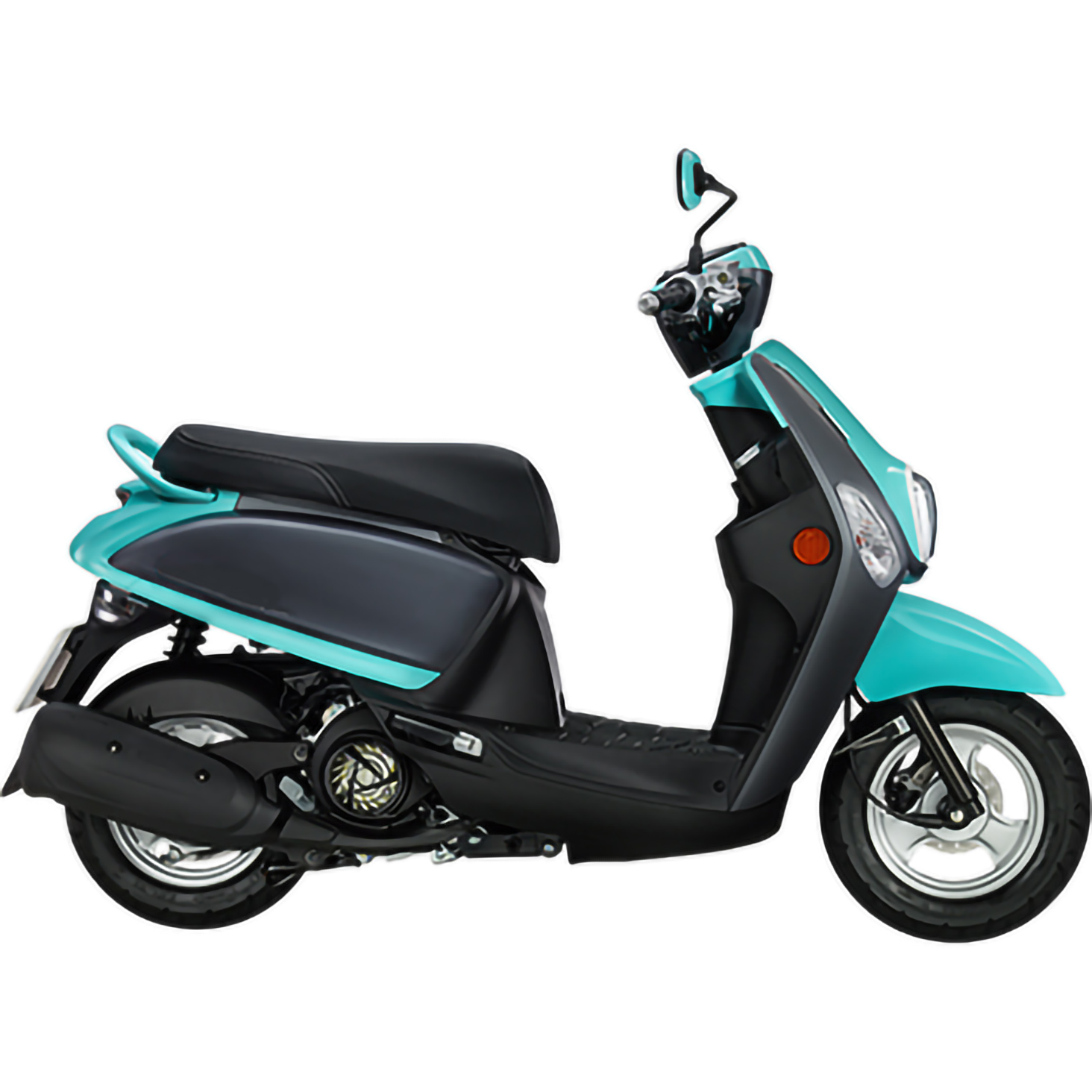 GS5(100cc)