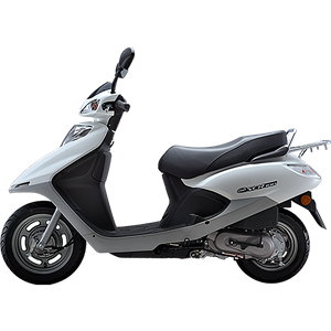 GGZ(100cc)