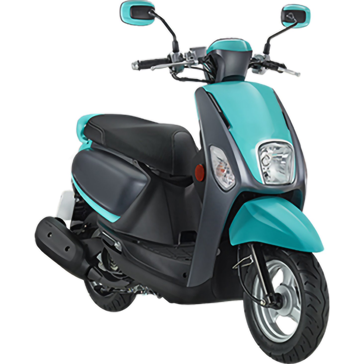 GS5(100cc)
