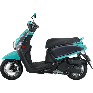 GS5(100cc)